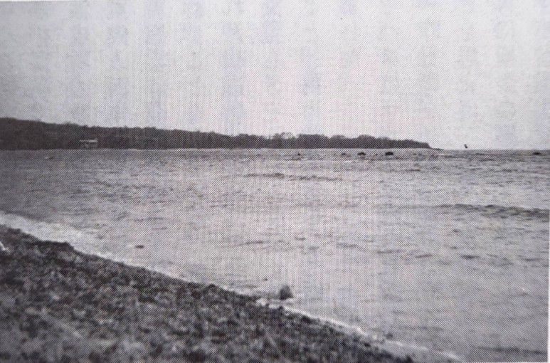 北サンフェルナンド海岸