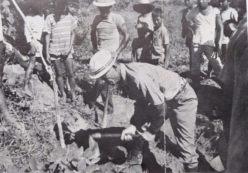 プンカン収骨作