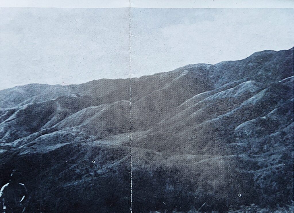 建武台よりカシ、キリ、ヤナギ、フナ陣地を望む