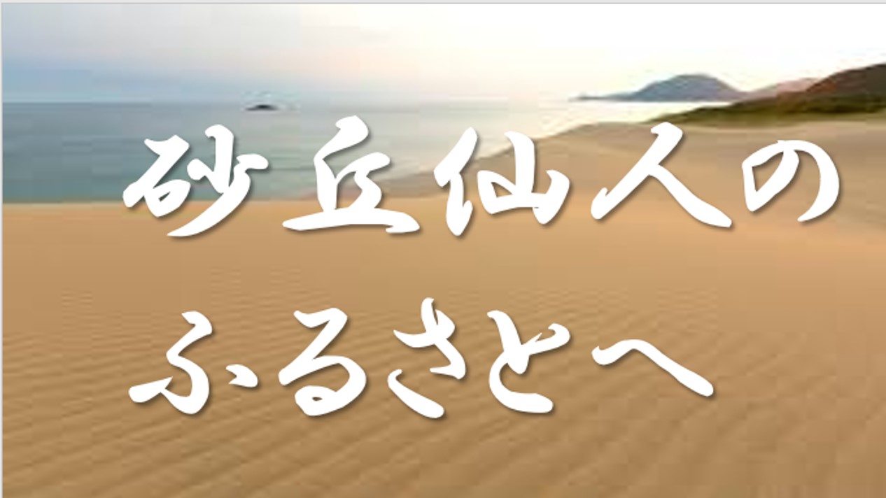 風紋が美しい鳥取砂丘