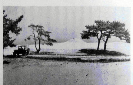 昭和初期の砂丘一里松と砲台跡