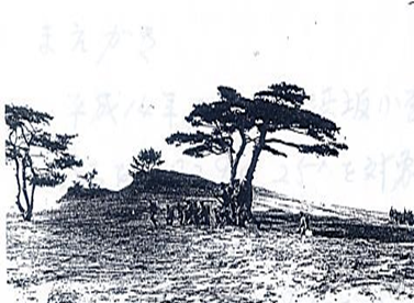 昭和初期の砂丘一里松と砲台跡