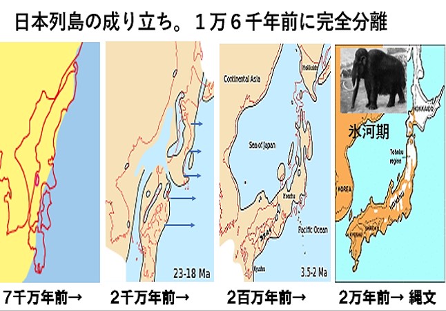 日本列島は大陸から分離
