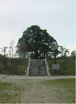 吉川経家の墓所
