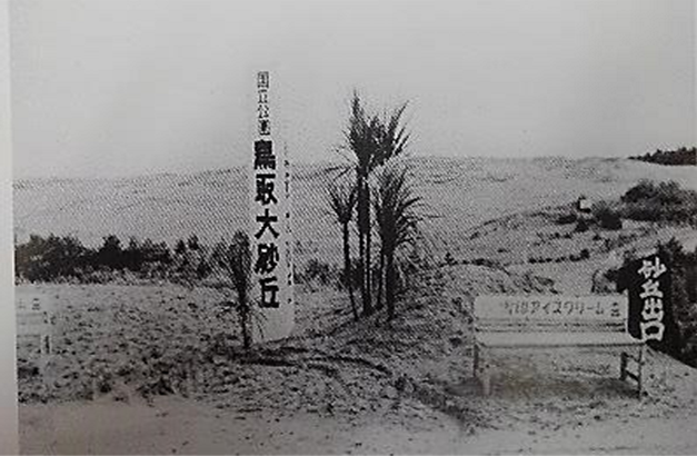 昭和３０年代の鳥取砂丘
