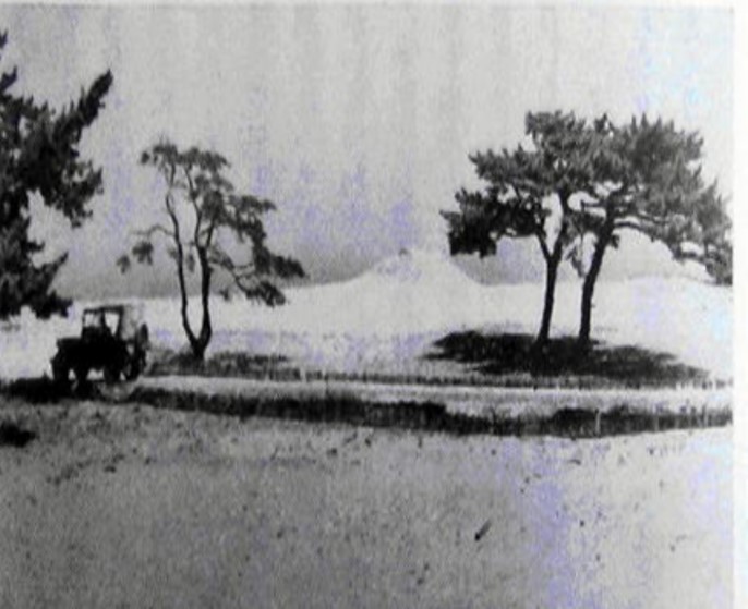 鳥取砂丘の一里松と旧砲台跡（昭和初期）