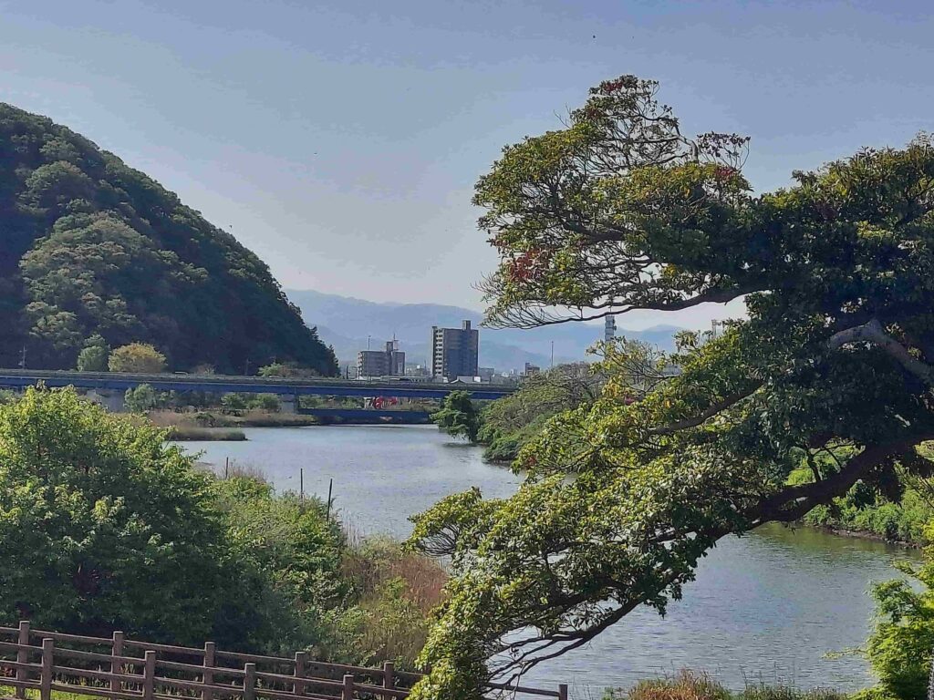 天社の森をはさんで流れる川面を含む風景（鳥取市浜坂）