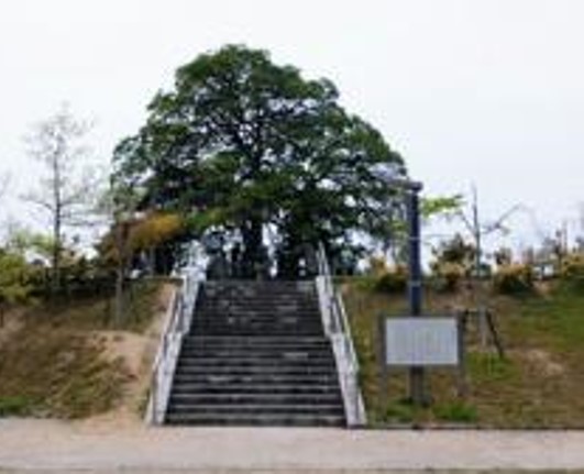 吉川経家の墓所（鳥取市円護寺）
